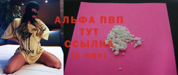 ешки Аркадак