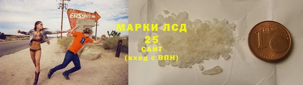 ешки Аркадак