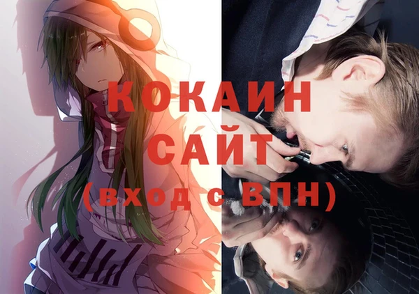 ешки Аркадак