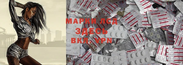 ешки Аркадак
